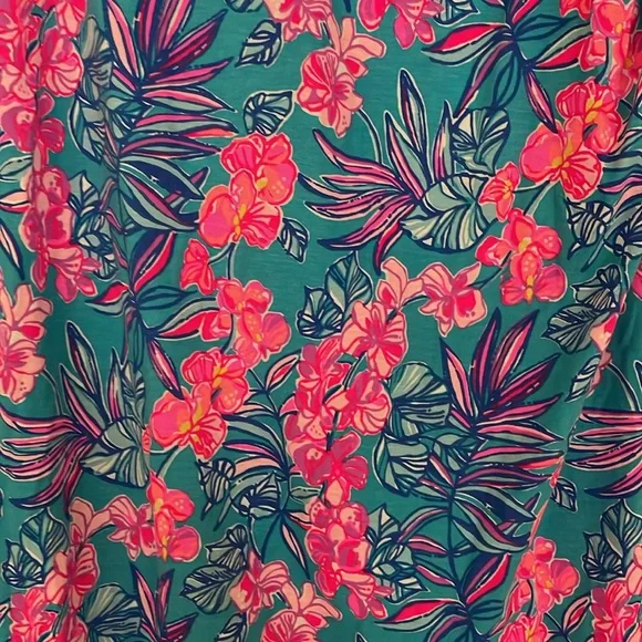 NEW WITH TAGS Lilly Pulitzer Easley short sleeve dress - Picture 4 of 6